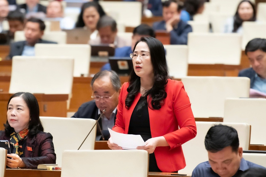 ĐBQH đề nghị cập nhật đầy đủ thông tin dự án tồn đọng, mở rộng áp dụng chính sách xử lý đặc thù trên cả nước- Ảnh 1.