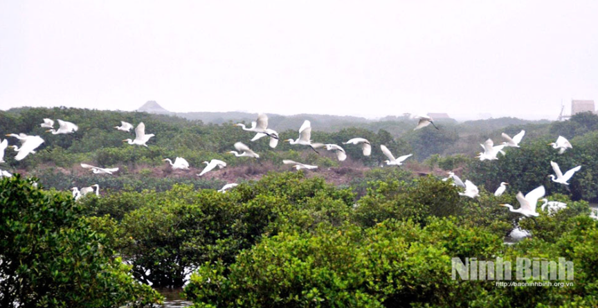 Ninh Bình chính thức có vườn di sản ASEAN đầu tiên khu vực miền Bắc- Ảnh 2. Ninh Bình chính thức có vườn di sản ASEAN đầu tiên khu vực miền Bắc- Ảnh 2.