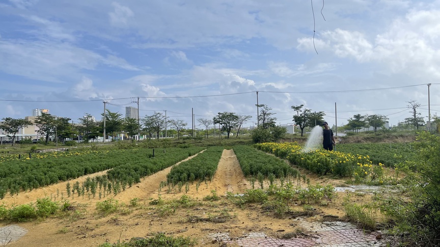 Đà Nẵng mạnh tay “đánh thức” các dự án trì trệ: Quyết tâm nhìn lại mình để mở đường phát triển- Ảnh 2.