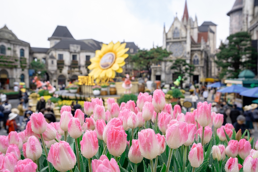 Sun World Ba Na Hills giảm giá vé cho người dân miền Trung, Tây Nguyên- Ảnh 1.