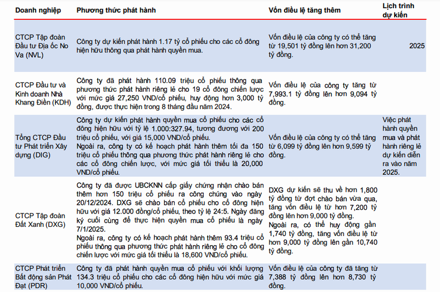 Doanh nghiệp bất động sản tính chuyện tăng vốn cho giai đoạn tăng trưởng mới- Ảnh 1.