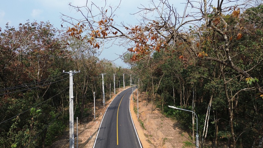 Đẹp như trời Âu con đường thơ mộng xuyên rừng cao su cạnh siêu sân bay lớn nhất Việt Nam- Ảnh 2.