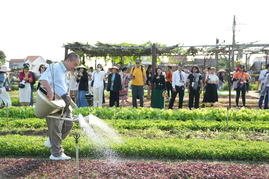 Quảng Nam: Kết nối Cung đường di sản Hội An – Mỹ Sơn – Cổng trời Đông Giang- Ảnh 4.