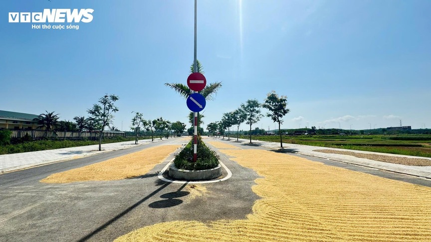 Trớ trêu tuyến đường hiện đại nằm phơi nắng, phơi mưa, phơi... lúa: Không có phương tiện giao thông nào qua lại- Ảnh 2. Trớ trêu tuyến đường hiện đại nằm phơi nắng, phơi mưa, phơi... lúa: Không có phương tiện giao thông nào qua lại- Ảnh 2.