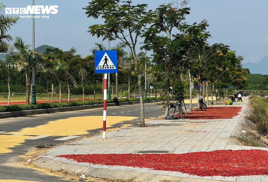 Trớ trêu tuyến đường hiện đại nằm phơi nắng, phơi mưa, phơi... lúa: Không có phương tiện giao thông nào qua lại- Ảnh 3. Trớ trêu tuyến đường hiện đại nằm phơi nắng, phơi mưa, phơi... lúa: Không có phương tiện giao thông nào qua lại- Ảnh 3.