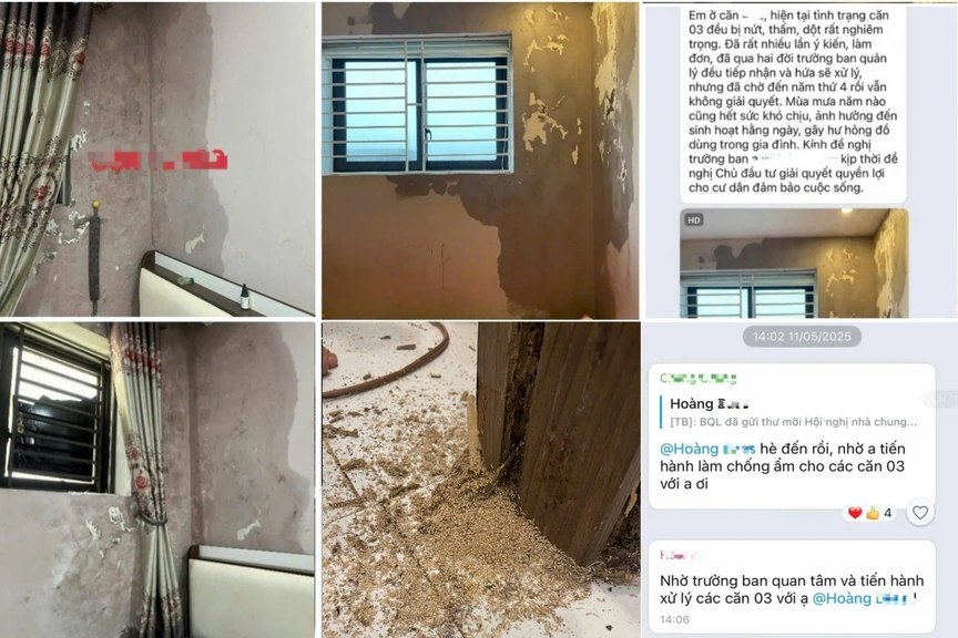 Dự án Khu nhà ở phía Tây Trường THCS Lê Văn Thiêm: "Chủ bài" Phúc Hà Group và Winhouse có tiềm lực thế nào?- Ảnh 7. Dự án Khu nhà ở phía Tây Trường THCS Lê Văn Thiêm: "Chủ bài" Phúc Hà Group và Winhouse có tiềm lực thế nào?- Ảnh 7.