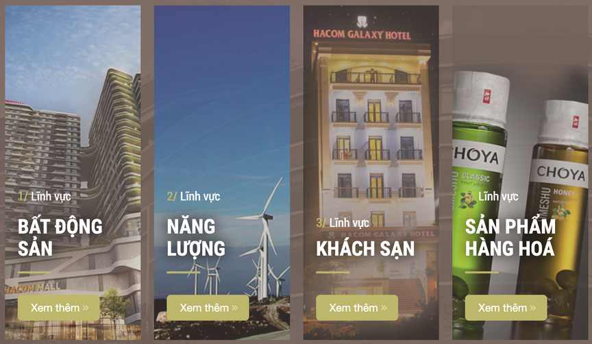 Hacom Holdings - nhà đầu tư đề xuất làm 6.000 căn nhà ở xã hội tại Nghệ An - có tiềm lực thế nào?
- Ảnh 2. Hacom Holdings - nhà đầu tư đề xuất làm 6.000 căn nhà ở xã hội tại Nghệ An - có tiềm lực thế nào?
- Ảnh 2.