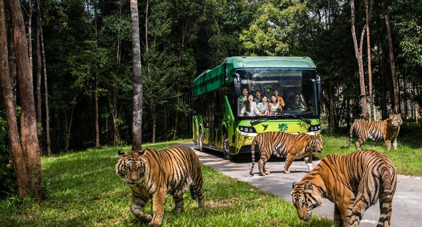 Công viên bán hoang dã đầu tiên và lớn nhất Việt Nam tọa lạc giữa lòng thành phố đảo đầu tiên của đất nước- Ảnh 3. Công viên bán hoang dã đầu tiên và lớn nhất Việt Nam tọa lạc giữa lòng thành phố đảo đầu tiên của đất nước- Ảnh 3.