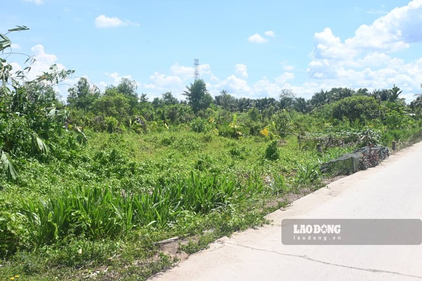 Chỉ vài ngày nữa, sẽ khởi công khu tái định cư dự án cầu gần 7.000 tỷ, cách cầu dây văng đầu tiên do Việt Nam thiết kế 3,8km- Ảnh 1. Chỉ vài ngày nữa, sẽ khởi công khu tái định cư dự án cầu gần 7.000 tỷ, cách cầu dây văng đầu tiên do Việt Nam thiết kế 3,8km- Ảnh 1.