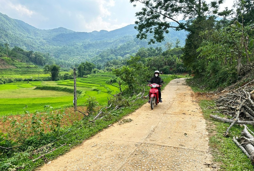 Bắc Kạn: Đường giao thông - động lực phát triển kinh tế nông thôn- Ảnh 3. Bắc Kạn: Đường giao thông - động lực phát triển kinh tế nông thôn- Ảnh 3.