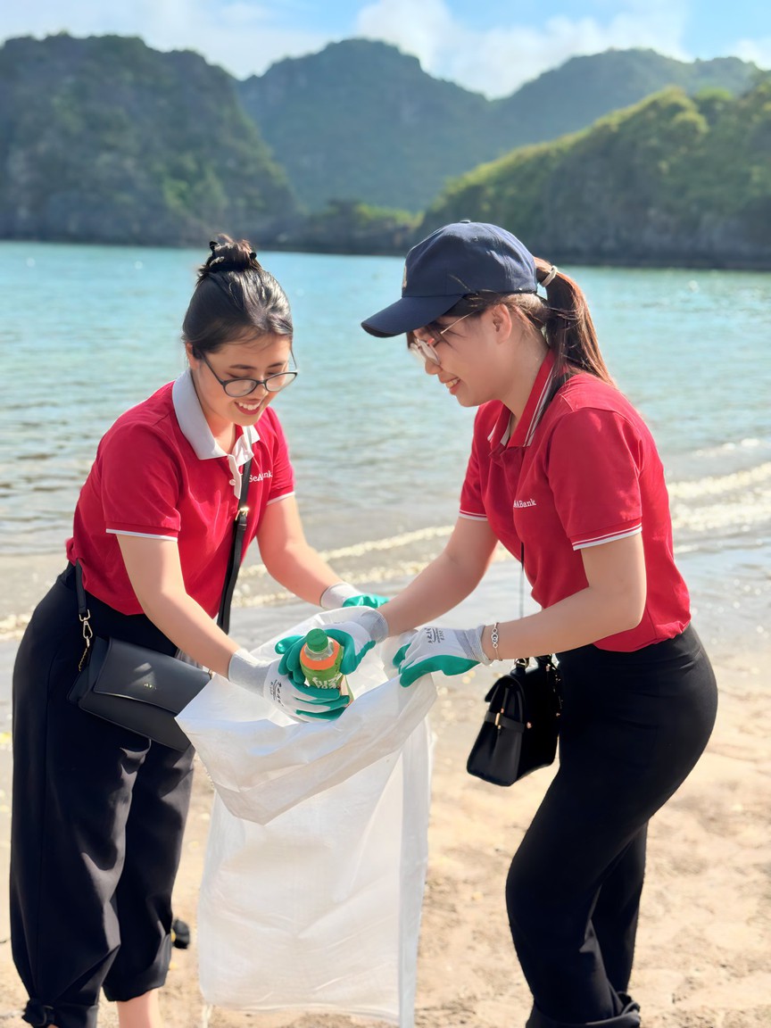 Cán bộ nhân viên SeABank chung tay làm sạch 11 bãi biển vì môi trường xanh- Ảnh 1.