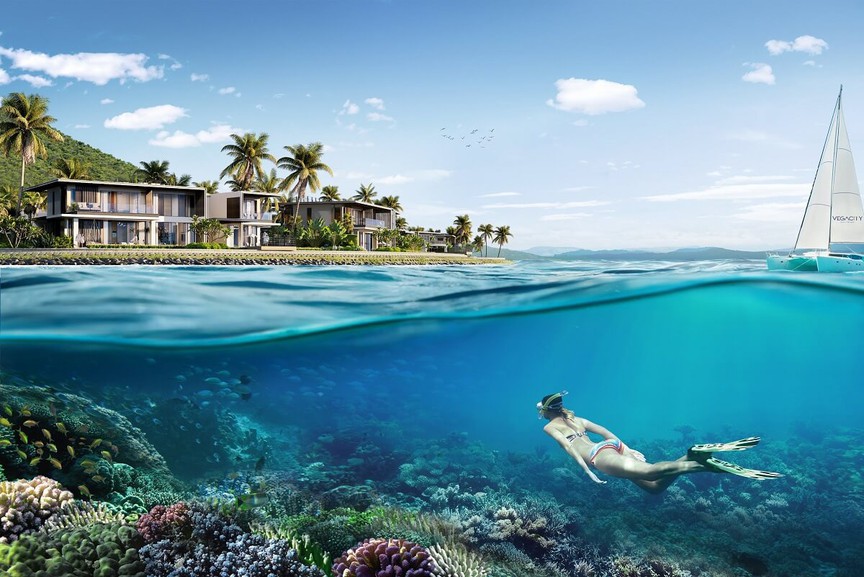 Cùng Villa Le Corail, A Gran Meliá Hotel bảo tồn hệ sinh thái ngay dưới thềm dinh thự- Ảnh 1. Cùng Villa Le Corail, A Gran Meliá Hotel bảo tồn hệ sinh thái ngay dưới thềm dinh thự- Ảnh 1.
