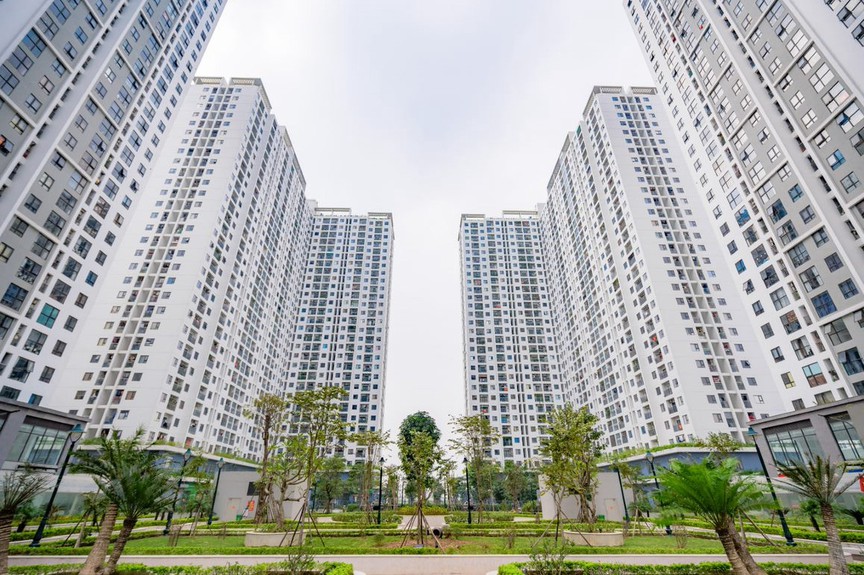 Bối cảnh dự án Ecohome 3. Nguồn ảnh: Internet Bối cảnh dự án Ecohome 3. Nguồn ảnh: Internet