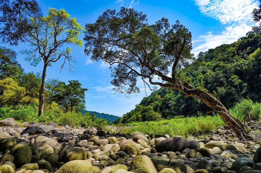 Bộ Nông nghiệp và Môi trường nói gì về phát triển du lịch lòng hồ Ngàn Trươi?- Ảnh 14. Bộ Nông nghiệp và Môi trường nói gì về phát triển du lịch lòng hồ Ngàn Trươi?- Ảnh 14.