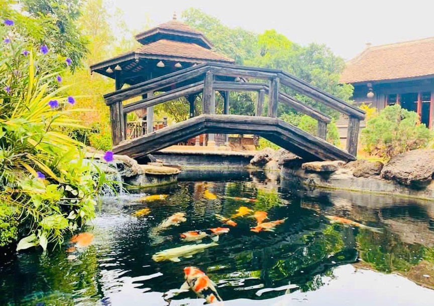 Biệt phủ trăm tỷ của 'nghệ sĩ nặng nhất Vbiz': Rộng hơn 1.600m2, mang nguyên khung nhà cổ 100 tuổi từ Nam Định vào Đồng Nai xây dựng- Ảnh 6. Biệt phủ trăm tỷ của 'nghệ sĩ nặng nhất Vbiz': Rộng hơn 1.600m2, mang nguyên khung nhà cổ 100 tuổi từ Nam Định vào Đồng Nai xây dựng- Ảnh 6.