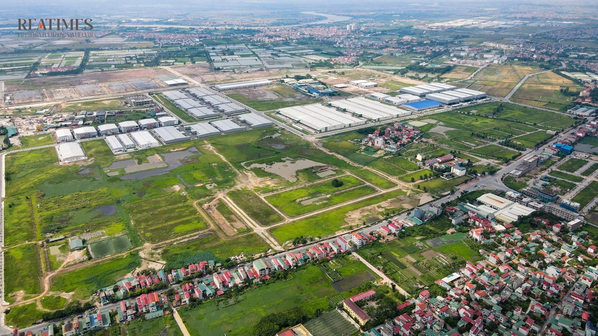 Bắc Ninh: Bò thả rông trong khu đô thị Thuận Thành III sau nhiều năm chậm tiến độ- Ảnh 1. Bắc Ninh: Bò thả rông trong khu đô thị Thuận Thành III sau nhiều năm chậm tiến độ- Ảnh 1.