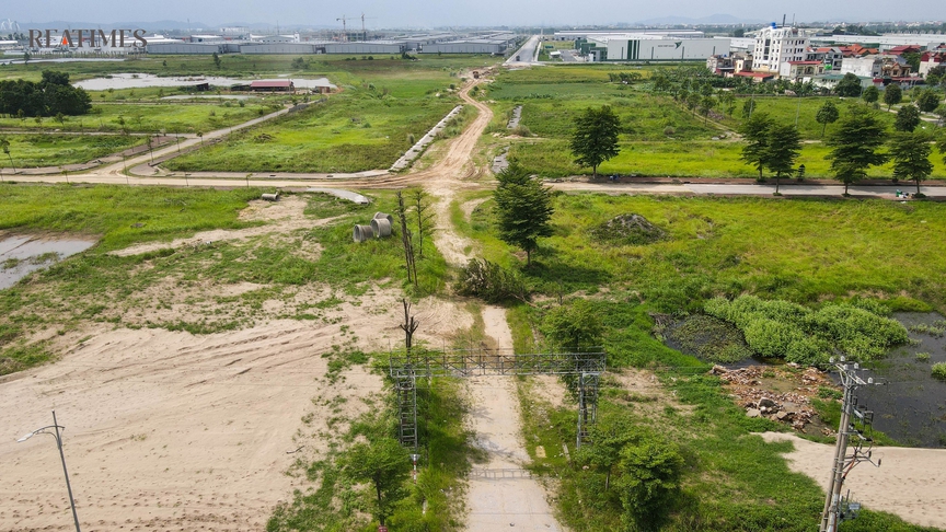 Bắc Ninh: Bò thả rông trong khu đô thị Thuận Thành III sau nhiều năm chậm tiến độ- Ảnh 2. Bắc Ninh: Bò thả rông trong khu đô thị Thuận Thành III sau nhiều năm chậm tiến độ- Ảnh 2.