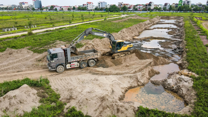 Bắc Ninh: Bò thả rông trong khu đô thị Thuận Thành III sau nhiều năm chậm tiến độ- Ảnh 3. Bắc Ninh: Bò thả rông trong khu đô thị Thuận Thành III sau nhiều năm chậm tiến độ- Ảnh 3.