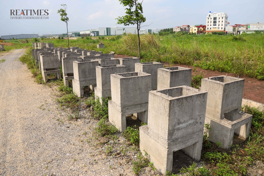 Bắc Ninh: Bò thả rông trong khu đô thị Thuận Thành III sau nhiều năm chậm tiến độ- Ảnh 7. Bắc Ninh: Bò thả rông trong khu đô thị Thuận Thành III sau nhiều năm chậm tiến độ- Ảnh 7.