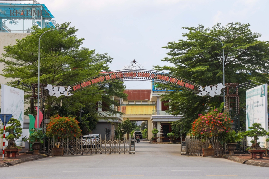 Bắc Ninh: Bò thả rông trong khu đô thị Thuận Thành III sau nhiều năm chậm tiến độ- Ảnh 11. Bắc Ninh: Bò thả rông trong khu đô thị Thuận Thành III sau nhiều năm chậm tiến độ- Ảnh 11.