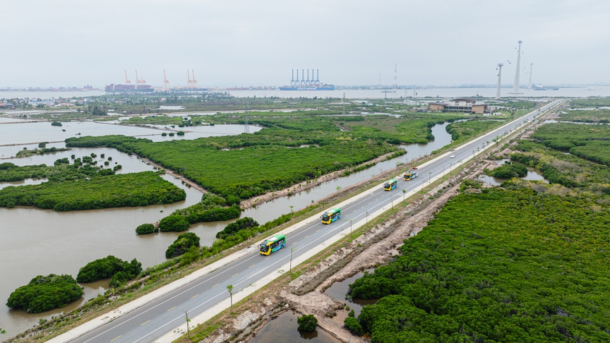 Trải nghiệm du lịch Cát Bà xanh – sạch – hiện đại với xe điện mới của Sun Group- Ảnh 5. Trải nghiệm du lịch Cát Bà xanh – sạch – hiện đại với xe điện mới của Sun Group- Ảnh 5.
