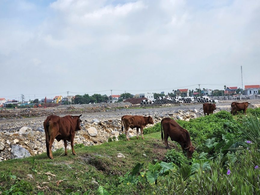 Hà Nam: "Cò mồi" bán "chui" đất dự án Khu nhà ở Đông thị trấn Kiện Khê- Ảnh 4. Hà Nam: "Cò mồi" bán "chui" đất dự án Khu nhà ở Đông thị trấn Kiện Khê- Ảnh 4.