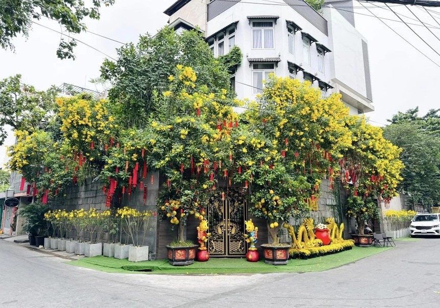 Toàn cảnh căn biệt thự của ca sĩ Đàm Vĩnh Hưng. Nguồn ảnh: FBNV