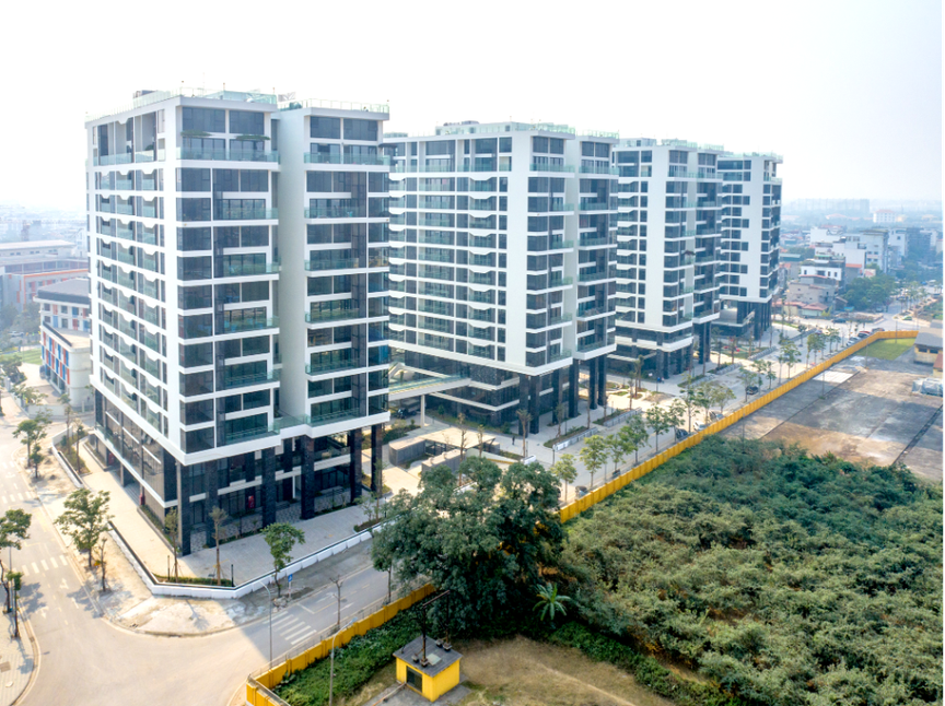 Sunshine Group livestream đặt giá căn hộ vào 1/7 chỉ với giá khởi điểm bằng 50% giá thị trường- Ảnh 2.