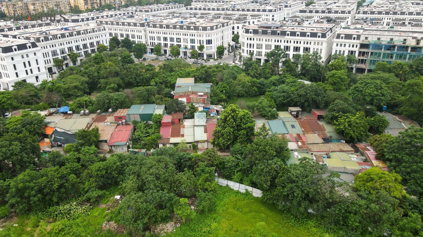 Hà Nội: Cận cảnh khu "đất vàng" làm Khu đô thị Thịnh Liệt bỏ hoang hơn 2 thập kỷ- Ảnh 3.