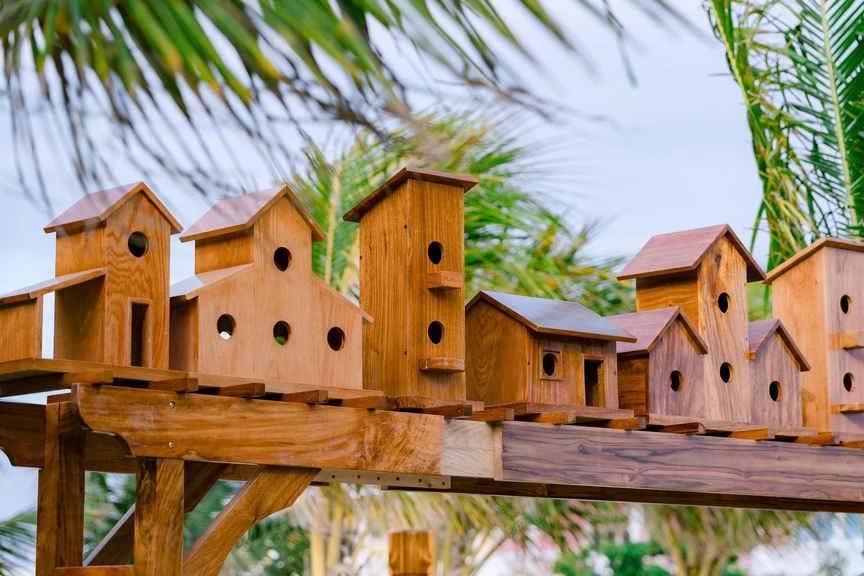 Thêm địa điểm check-in tại Cam Ranh năm 2025 người mê du lịch không thể bỏ lỡ- Ảnh 10. Thêm địa điểm check-in tại Cam Ranh năm 2025 người mê du lịch không thể bỏ lỡ- Ảnh 10.