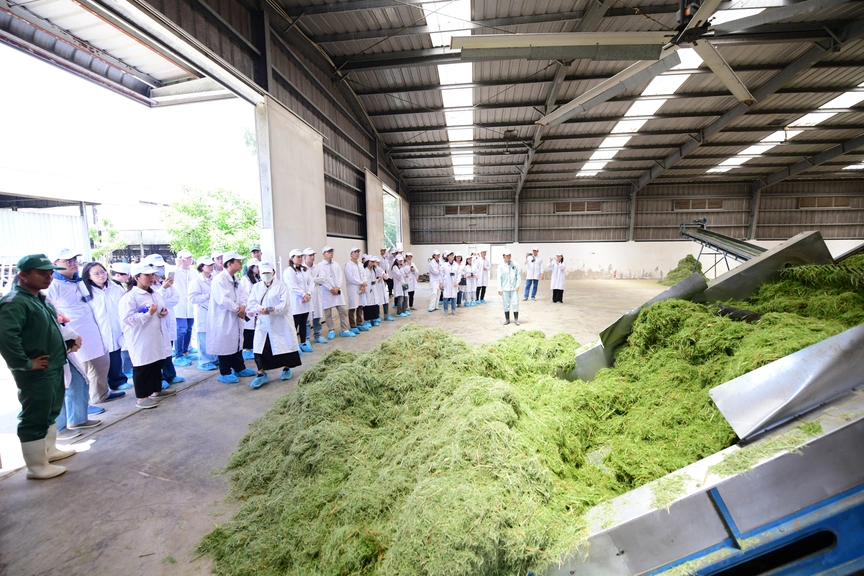 Trang trại Vinamilk Green Farm dưới lăng kính phát triển bền vững có gì đặc biệt?- Ảnh 6.