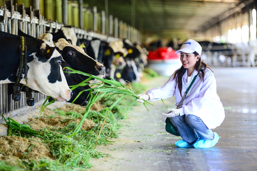 Trang trại Vinamilk Green Farm dưới lăng kính phát triển bền vững có gì đặc biệt?- Ảnh 10.
