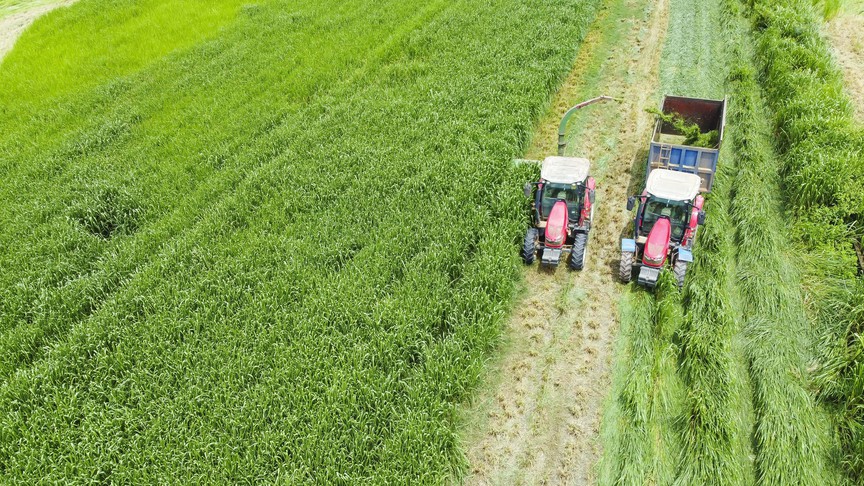 Trang trại Vinamilk Green Farm dưới lăng kính phát triển bền vững có gì đặc biệt?- Ảnh 11.