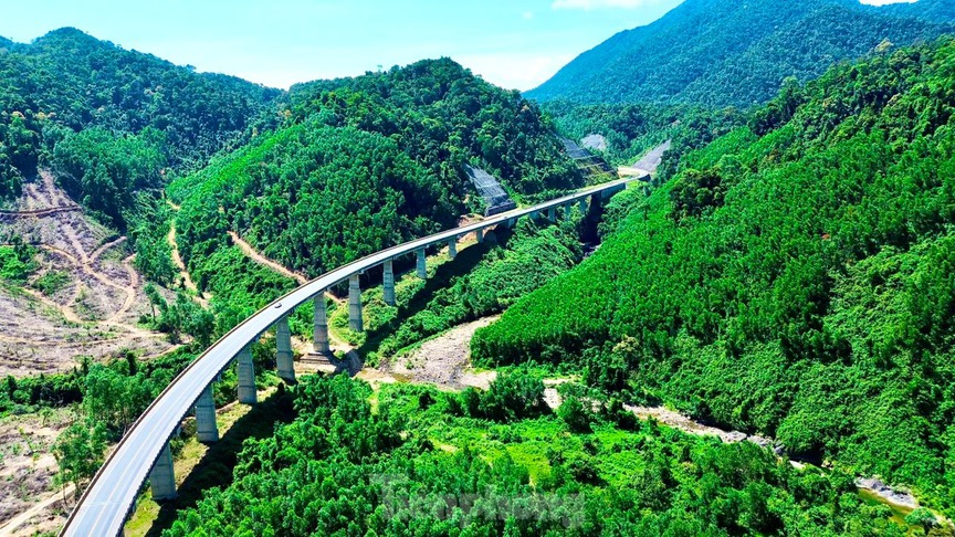 Chiêm ngưỡng tuyến cao tốc duy nhất qua 'kho báu' sinh học quốc gia của Việt Nam vừa khởi công- Ảnh 3. Chiêm ngưỡng tuyến cao tốc duy nhất qua 'kho báu' sinh học quốc gia của Việt Nam vừa khởi công- Ảnh 3.