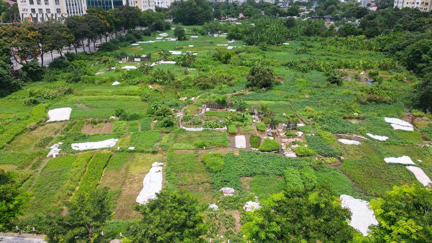 Hà Nội: Dự án Khu đô thị Trũng Kênh vẫn nằm "trên giấy" gần 2 thập kỷ- Ảnh 3. Hà Nội: Dự án Khu đô thị Trũng Kênh vẫn nằm "trên giấy" gần 2 thập kỷ- Ảnh 3.
