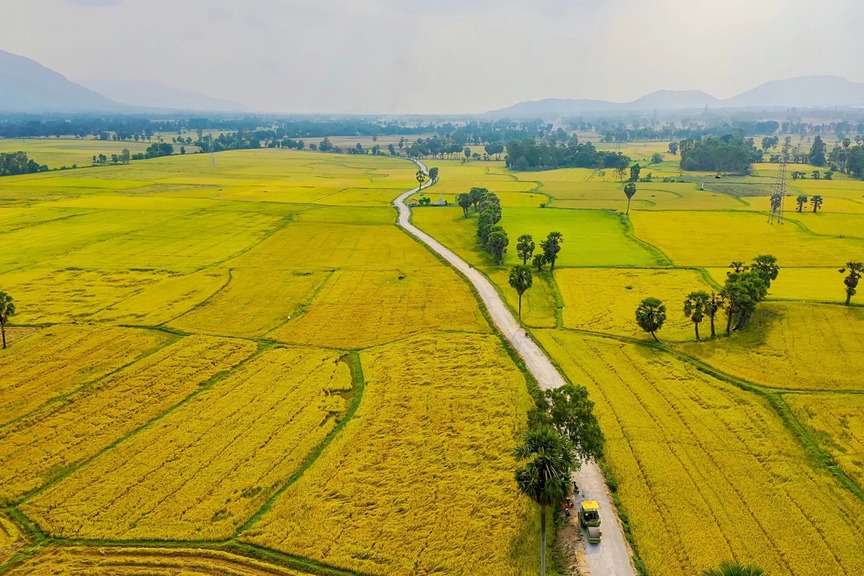 Từ nay, cần đáp ứng điều kiện này mới được chuyển đất nông nghiệp sang đất phi nông nghiệp- Ảnh 1. Từ nay, cần đáp ứng điều kiện này mới được chuyển đất nông nghiệp sang đất phi nông nghiệp- Ảnh 1.