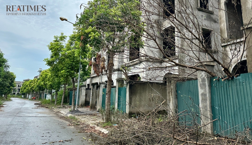 Hà Nội: Cận cảnh hàng trăm ngôi biệt thự 'triệu đô' bỏ hoang lãng phí tại khu đô thị Nam An Khánh- Ảnh 8. Hà Nội: Cận cảnh hàng trăm ngôi biệt thự 'triệu đô' bỏ hoang lãng phí tại khu đô thị Nam An Khánh- Ảnh 8.