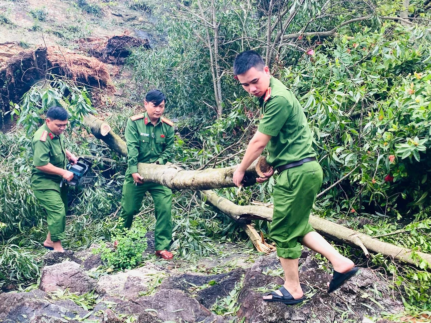Hà Tĩnh đề xuất Trung ương hỗ trợ 2.000 tỷ đồng tái thiết sau bão- Ảnh 15. Hà Tĩnh đề xuất Trung ương hỗ trợ 2.000 tỷ đồng tái thiết sau bão- Ảnh 15.