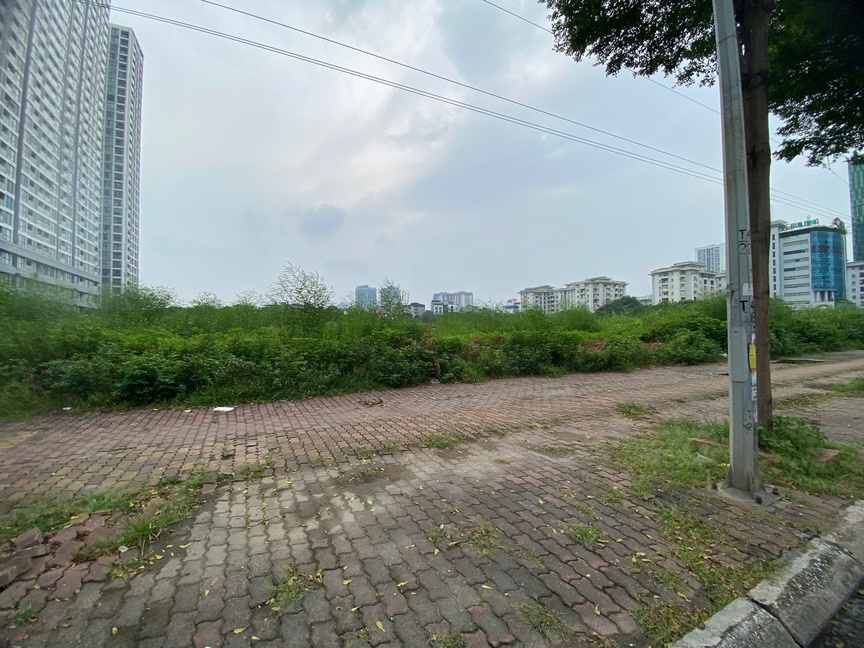 Hiện khu đất vẫn bỏ hoang, cỏ dại mọc um tùm.
