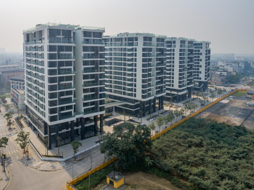 Khách trúng 200 triệu chỉ sau 1 giây và pha “chốt giải” thần tốc nhất lịch sử livestream Sunshine Group- Ảnh 3. Khách trúng 200 triệu chỉ sau 1 giây và pha “chốt giải” thần tốc nhất lịch sử livestream Sunshine Group- Ảnh 3.