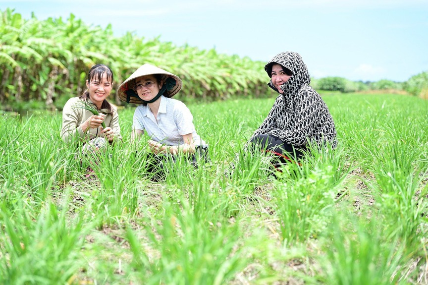 Nông dân An Giang trồng loại rau dân dã trên bờ bao hoang hóa, cứ 3 ngày 'hái tiền' một lần, lãi cả trăm triệu mỗi năm- Ảnh 1.