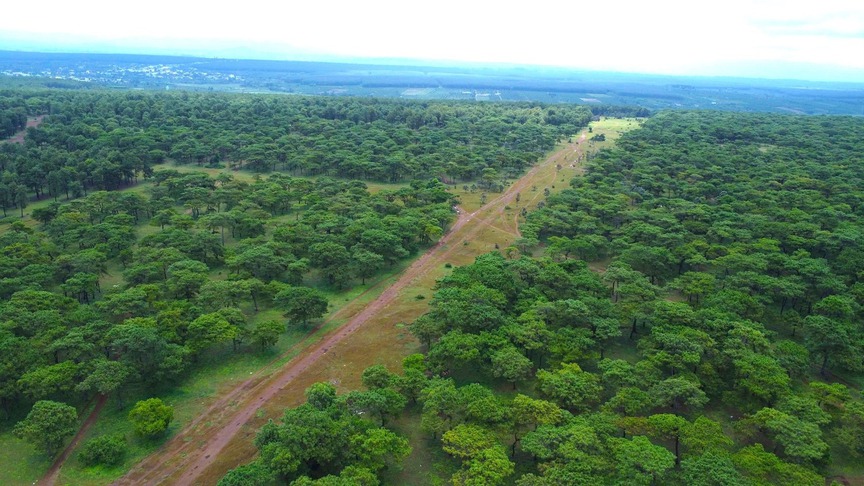 Khu vực làm dự án Sân golf Đak Đoa. Nguồn ảnh: Báo Tiền Phong