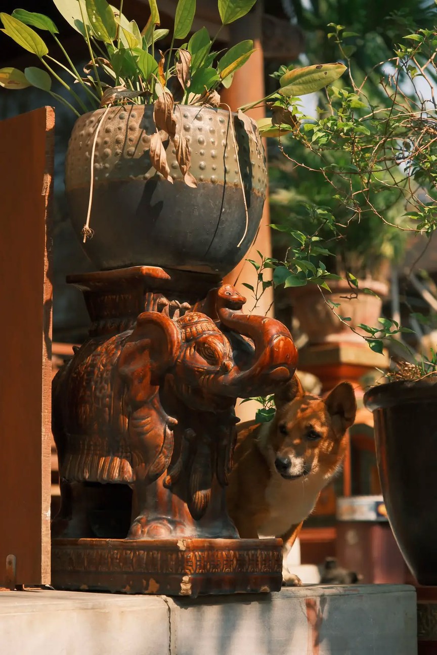 Ngôi chùa lưu giữ bức tranh 9 con rồng ẩn hiện trong mây lớn nhất Việt Nam: Số phận đặc biệt, kiến trúc mang đậm dấu ấn vương giả- Ảnh 11.