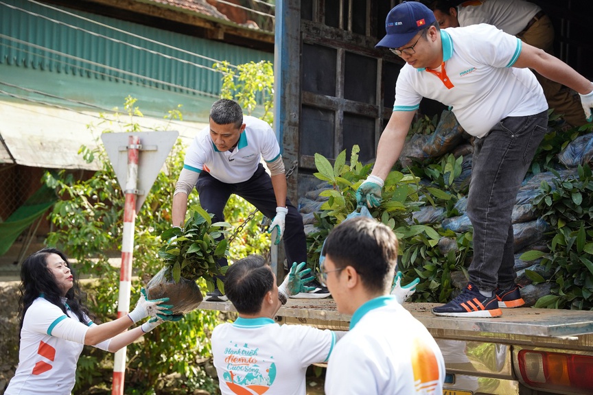 Nghệ An: 100.000 cây xanh được trao tặng thông qua chương trình Tết An Bình 2026- Ảnh 2.