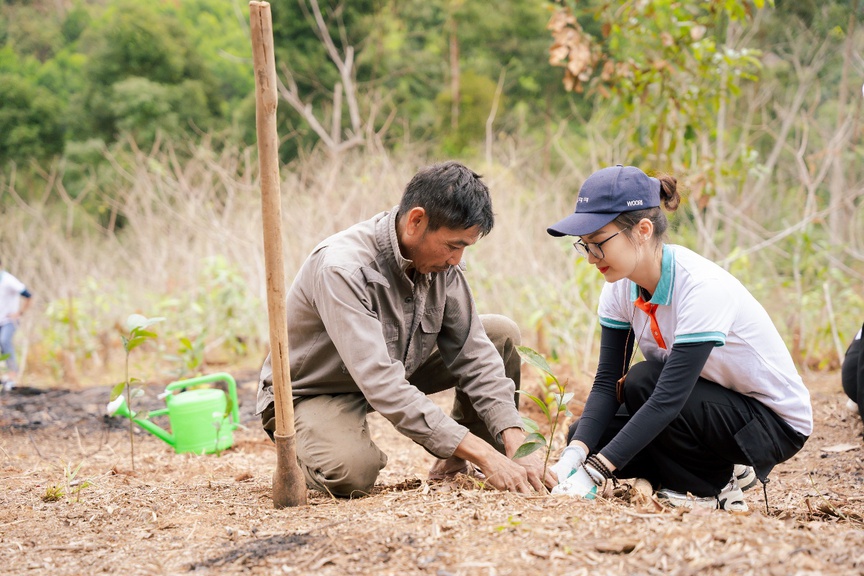 Nghệ An: 100.000 cây xanh được trao tặng thông qua chương trình Tết An Bình 2026- Ảnh 4.