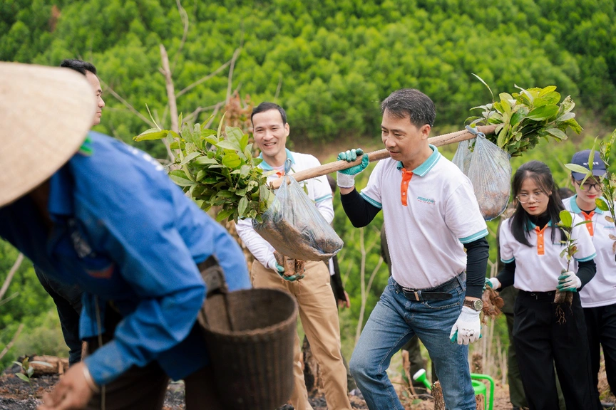 Nghệ An: 100.000 cây xanh được trao tặng thông qua chương trình Tết An Bình 2026- Ảnh 5.