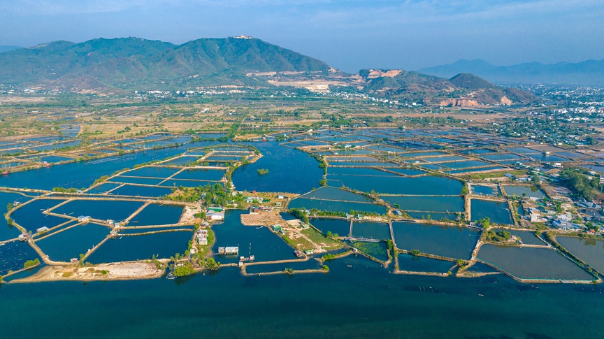 Hạ tầng giao thông Khánh Hòa “cất cánh”, dự án nào hưởng lợi?- Ảnh 3.