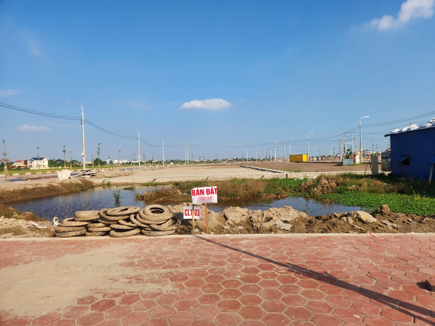 Ninh Bình đấu giá hàng trăm lô đất với giá khởi điểm từ 2,2 triệu đồng/m2- Ảnh 1.