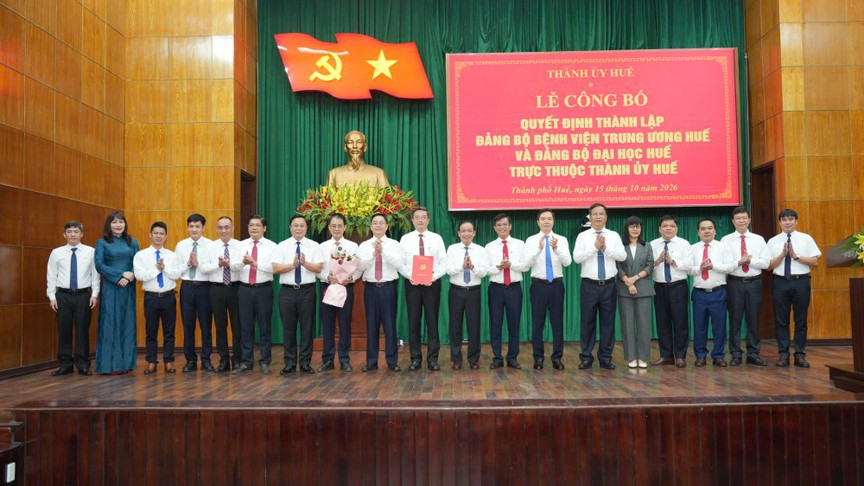TP. Huế: Thành lập Đảng bộ Bệnh viện Trung ương Huế và Đảng bộ Đại học Huế  - Ảnh 2.
