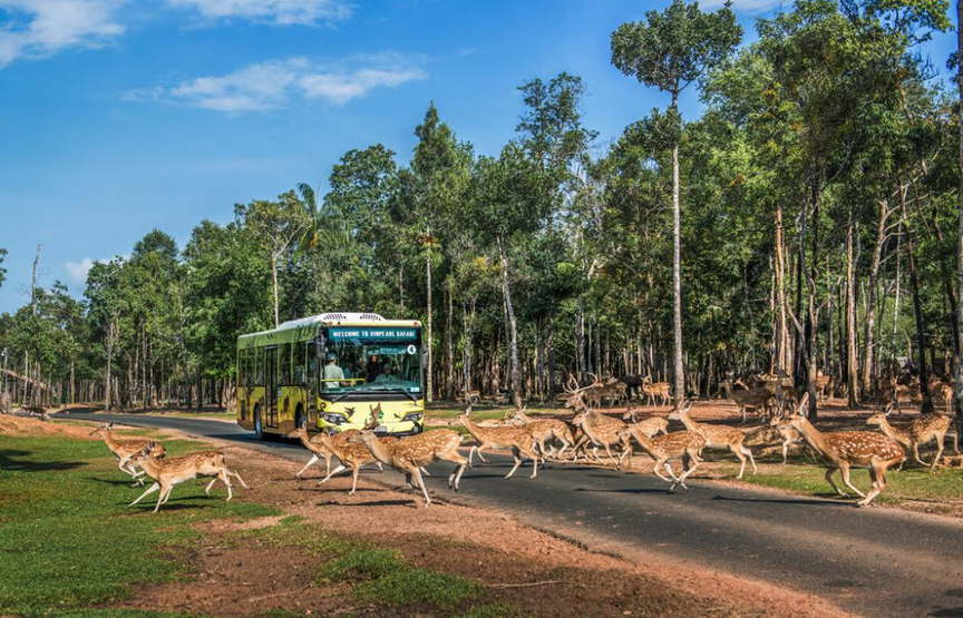 Nắm giữ “kỷ lục kép” thế giới - Vinpearl Safari Phú Quốc “khủng” cỡ nào? - Ảnh 1.